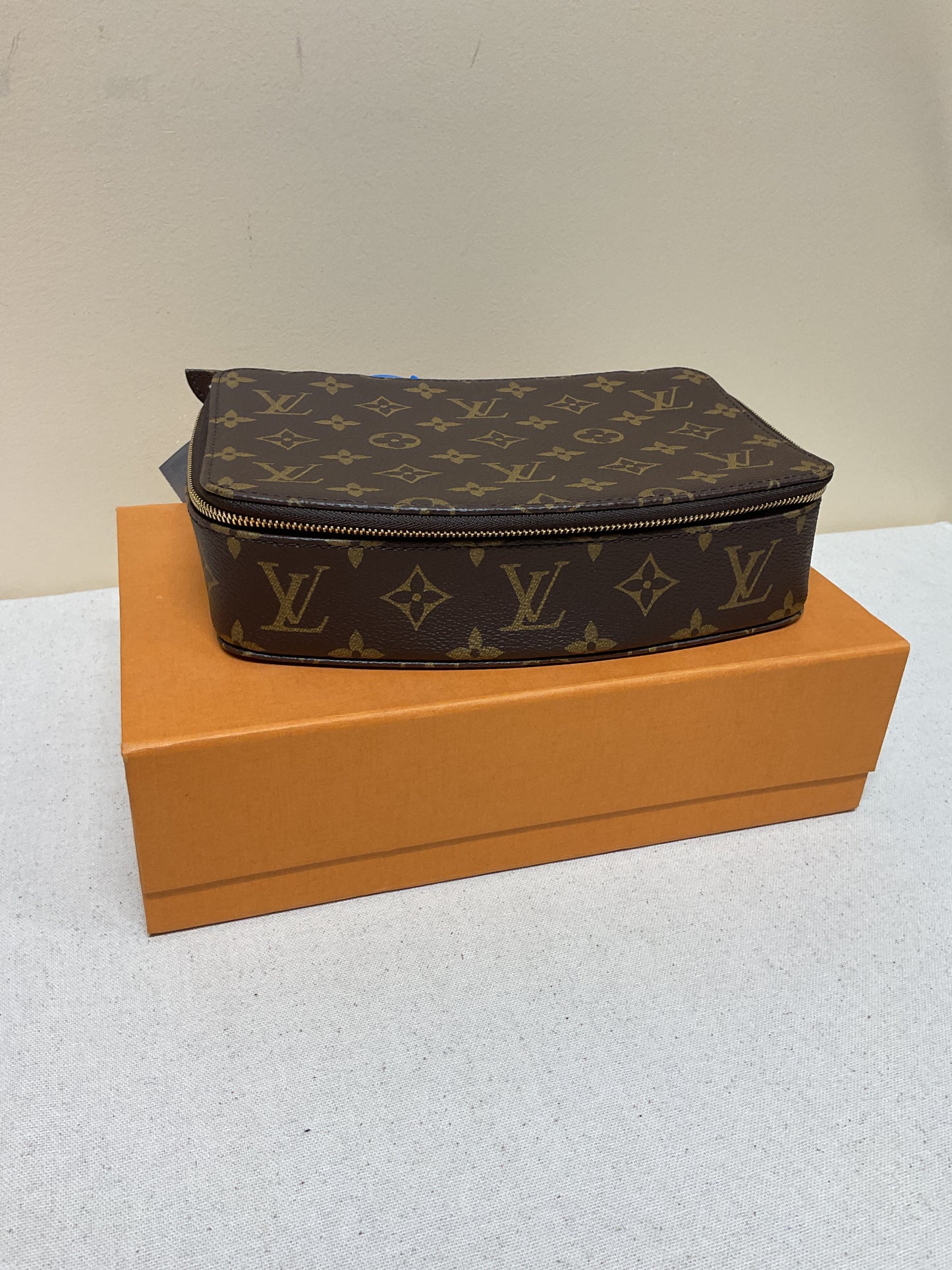 Louis Vuitton Makeup Bag
