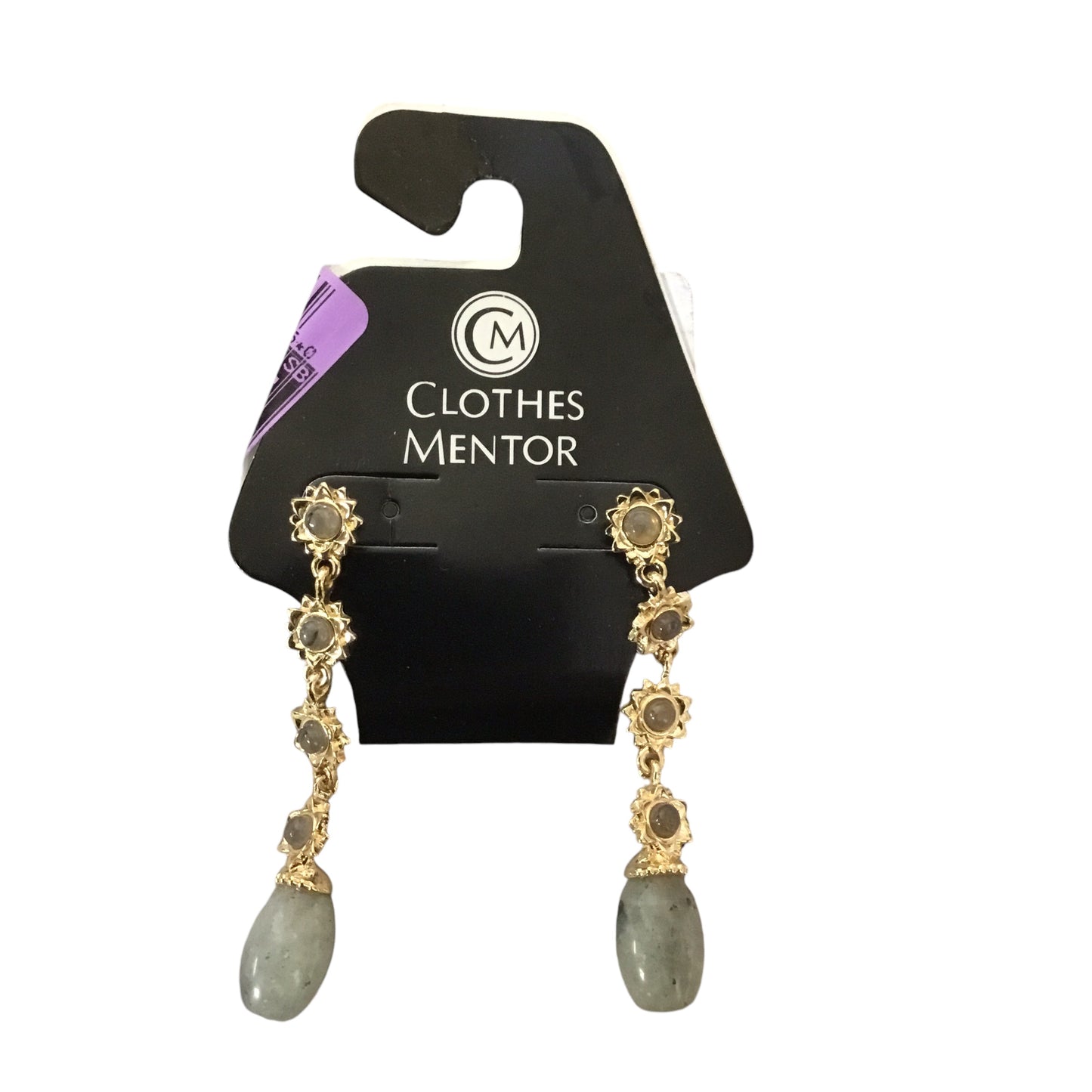 Earrings Dangle/drop By Clothes Mentor