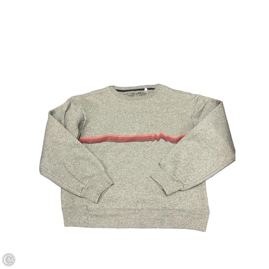 Sweatshirt Crewneck By Patagonia In Grey, Size: S