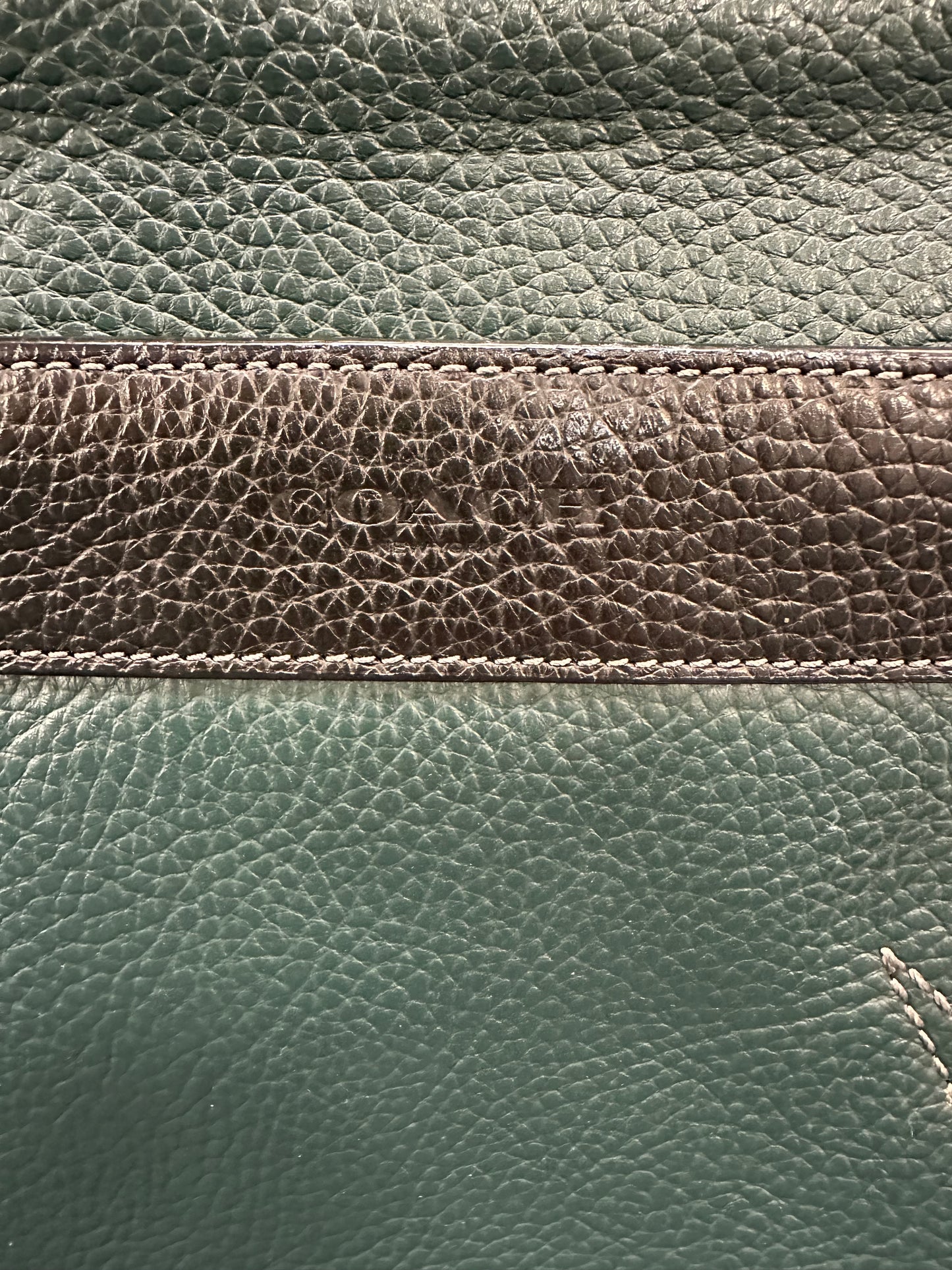 Handbag Designer By Coach In Black & Green, Size:Medium