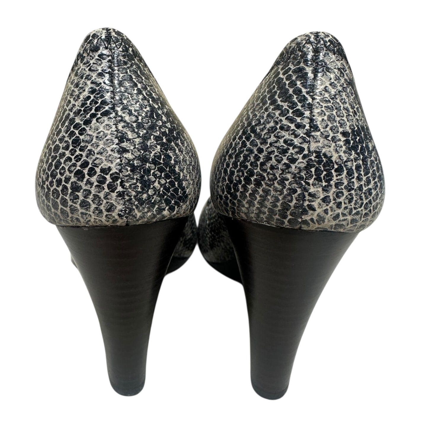 Shoes Designer By Tory Burch In Snakeskin Print, Size:7.5