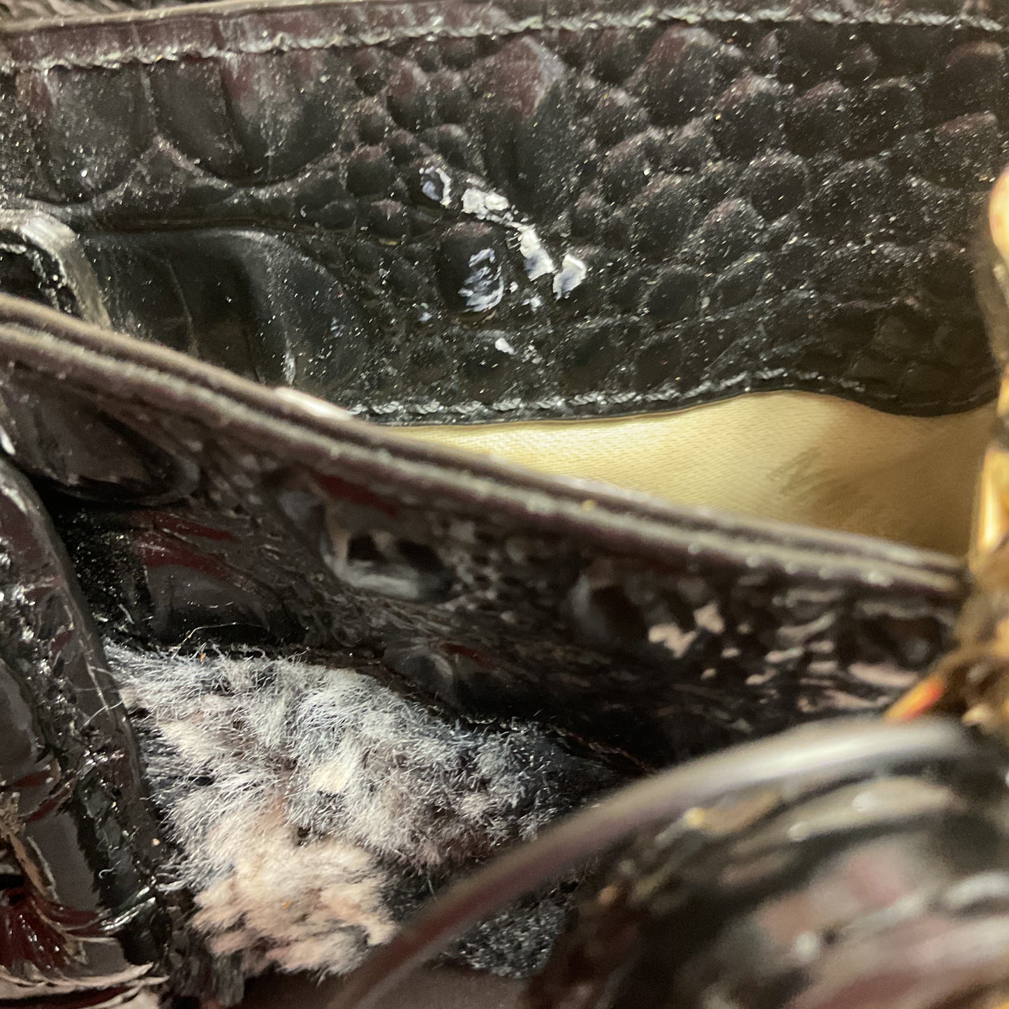 Crossbody Designer By Brahmin In Black, Size:Small